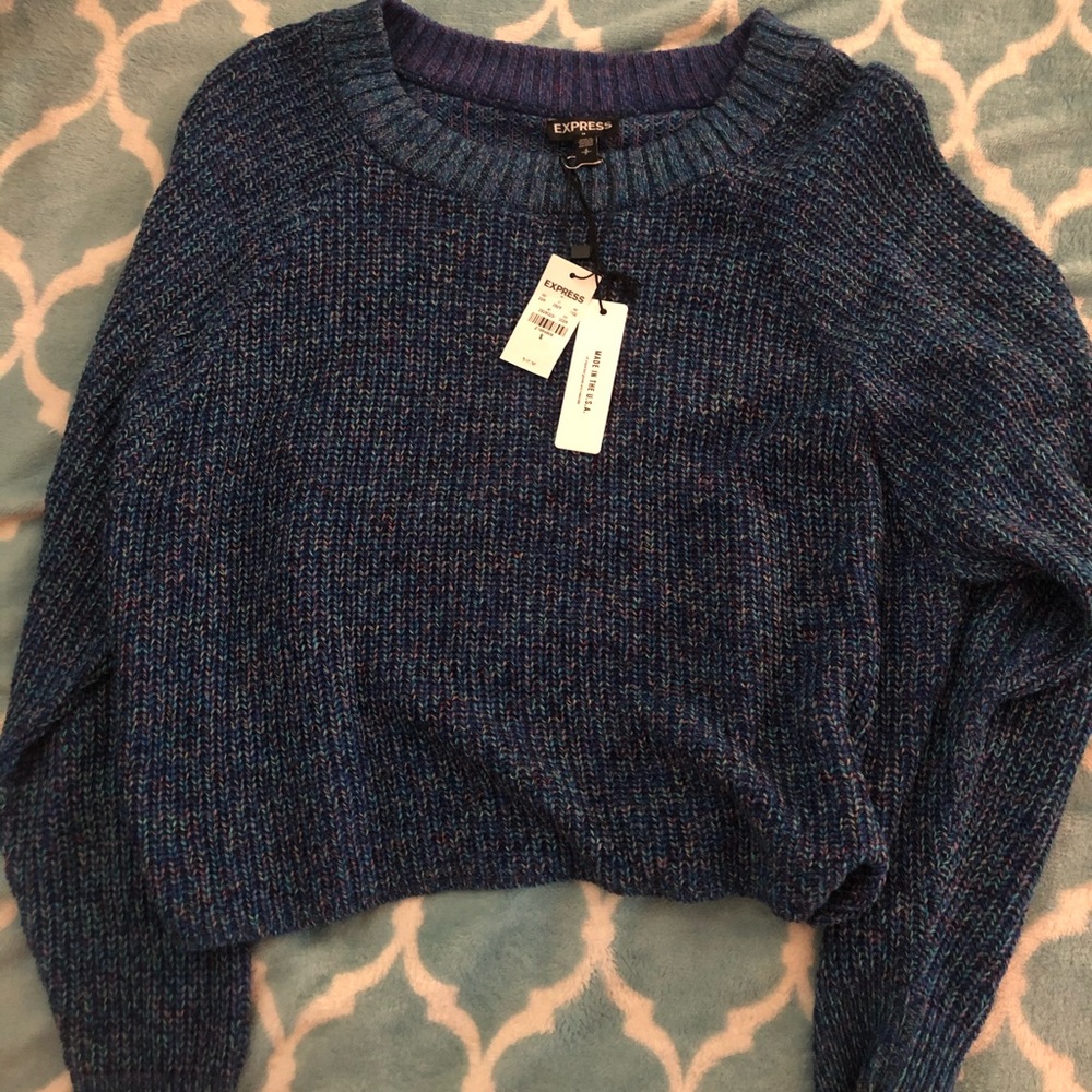 Express sweater size small